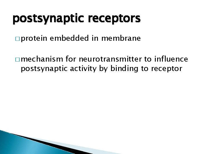 postsynaptic receptors � protein embedded in membrane � mechanism for neurotransmitter to influence postsynaptic
