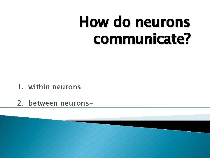 How do neurons communicate? 1. within neurons – 2. between neurons- 