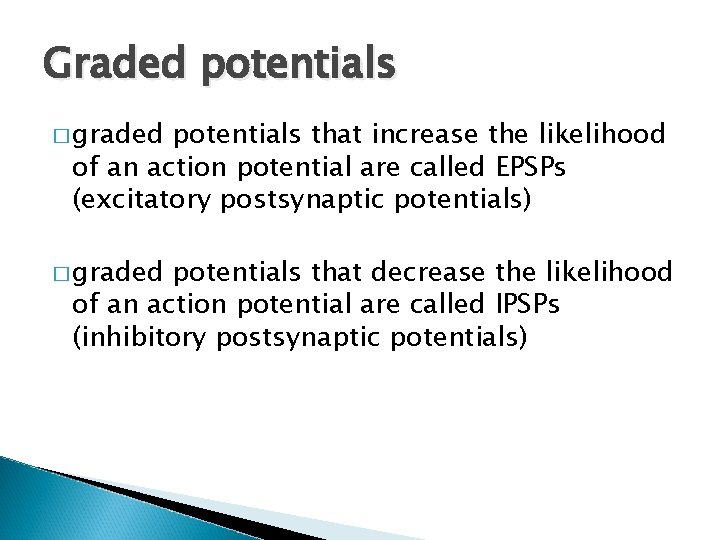 Graded potentials � graded potentials that increase the likelihood of an action potential are