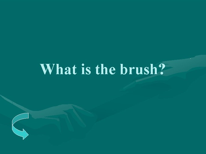 What is the brush? 