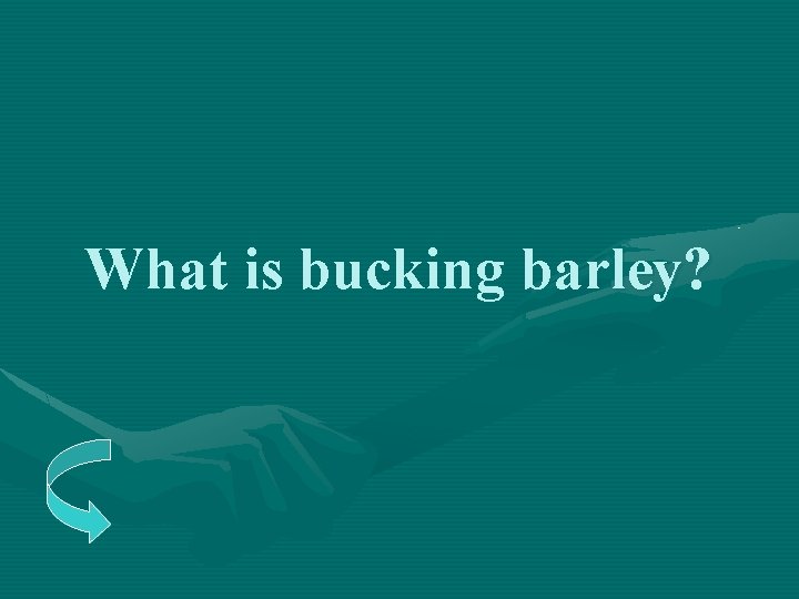 What is bucking barley? 