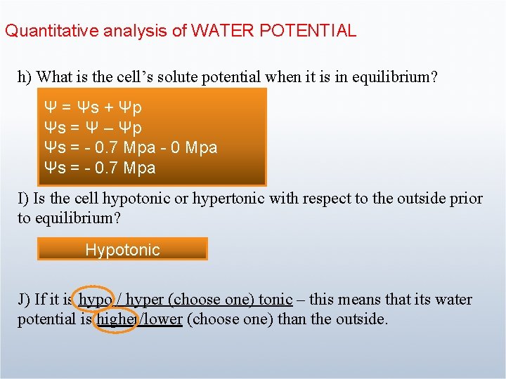 Quantitative analysis of WATER POTENTIAL h) What is the cell’s solute potential when it