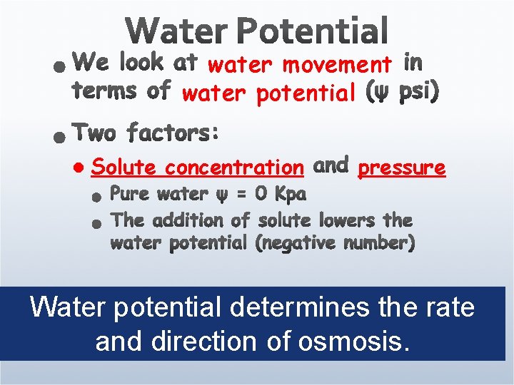 water movement water potential l Solute concentration pressure Water potential determines the rate and