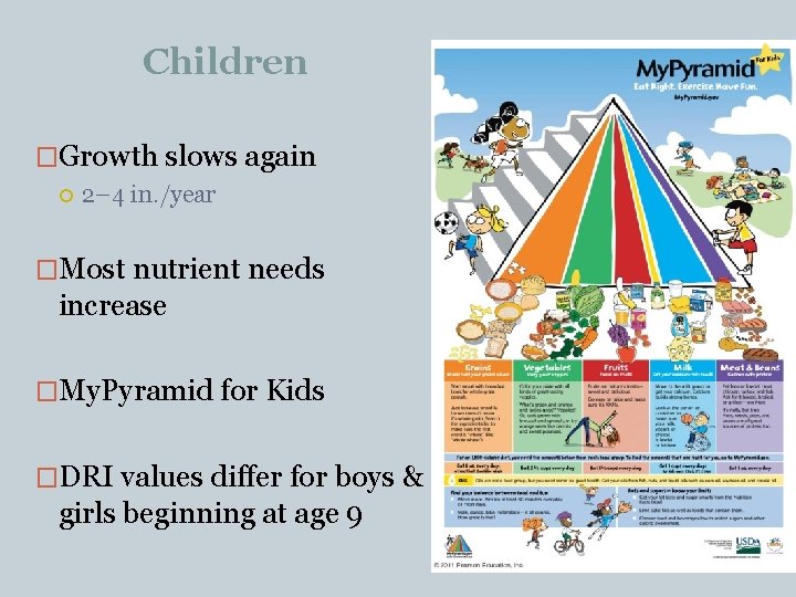 Children �Growth slows again 2– 4 in. /year �Most nutrient needs increase �My. Pyramid