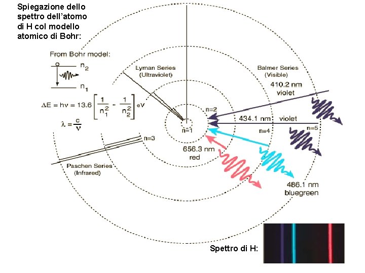 Spiegazione dello spettro dell’atomo di H col modello atomico di Bohr: Spettro di H: