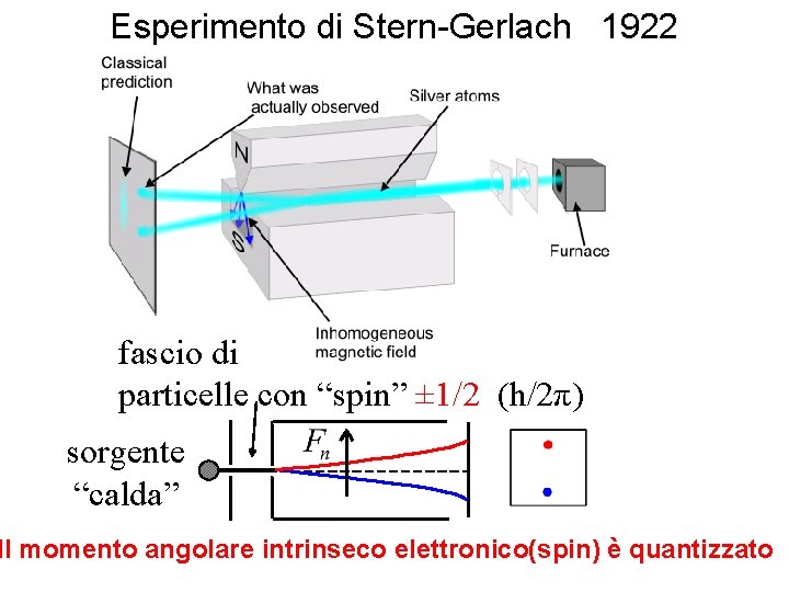 Esperimento di Stern-Gerlach 1922 fascio di particelle con “spin” ± 1/2 (h/2π) sorgente “calda”