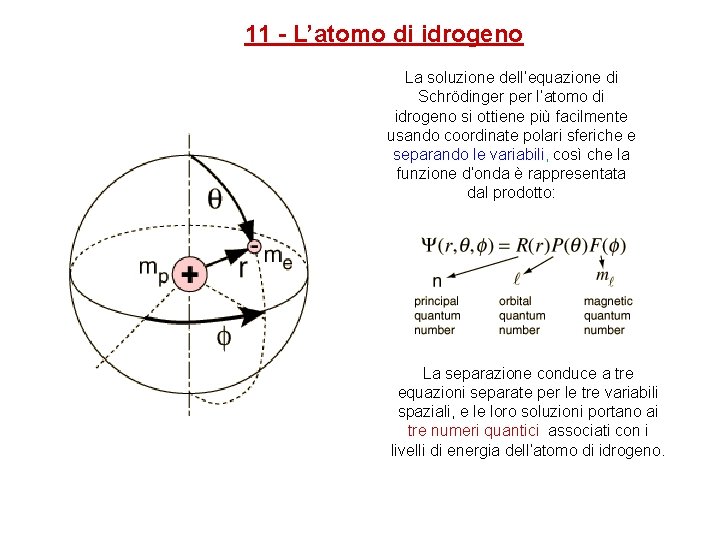 11 - L’atomo di idrogeno La soluzione dell’equazione di Schrödinger per l’atomo di idrogeno