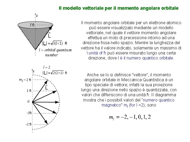 Il modello vettoriale per il momento angolare orbitale Il momento angolare orbitale per un