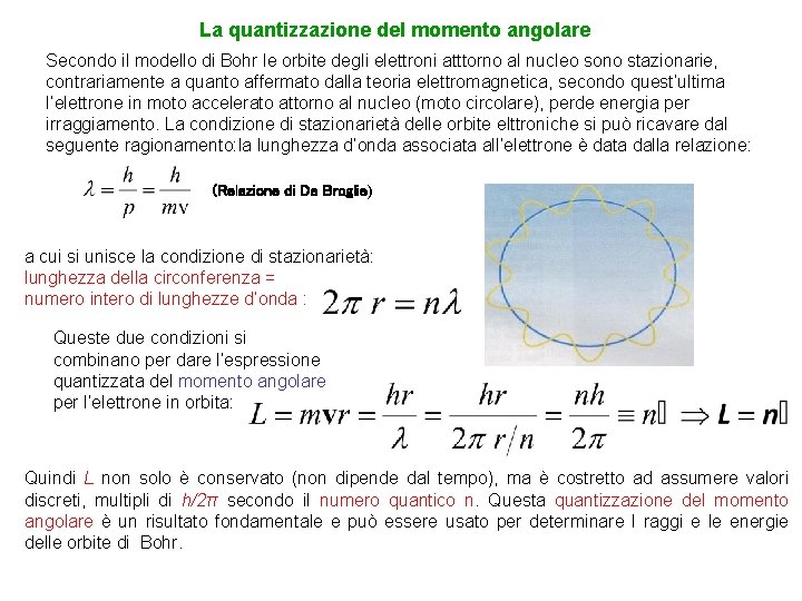 La quantizzazione del momento angolare Secondo il modello di Bohr le orbite degli elettroni