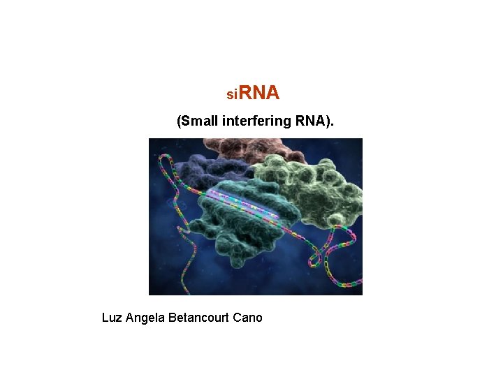 si. RNA (Small interfering RNA). Luz Angela Betancourt Cano 