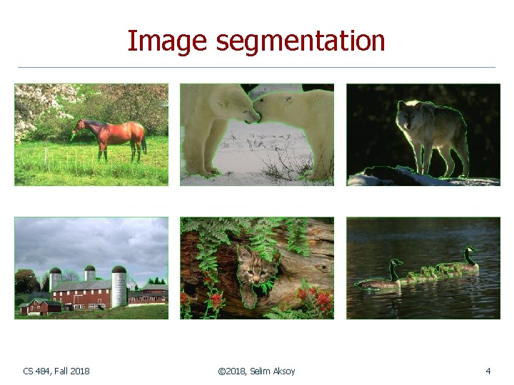 Image segmentation CS 484, Fall 2018 © 2018, Selim Aksoy 4 