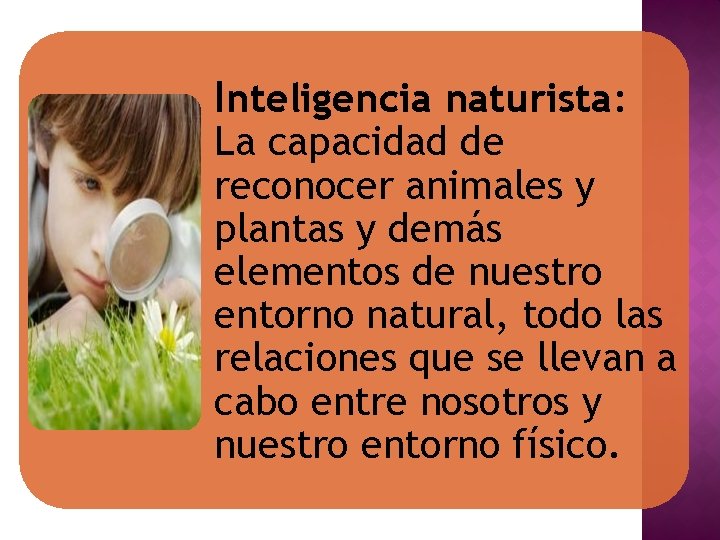 Inteligencia naturista: La capacidad de reconocer animales y plantas y demás elementos de nuestro