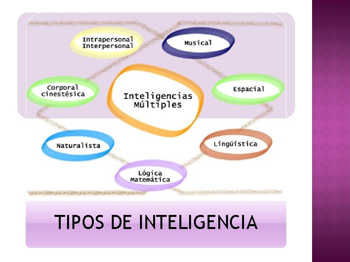 TIPOS DE INTELIGENCIA 