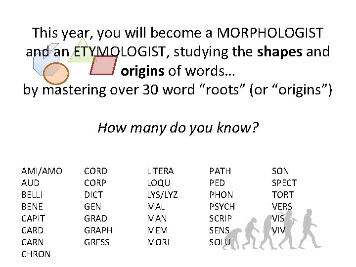This year, you will become a MORPHOLOGIST and an ETYMOLOGIST, studying the shapes and