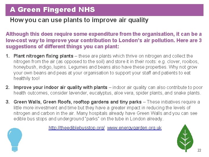 A Green Fingered NHS How you can use plants to improve air quality Although A Green Fingered NHS How you can use plants to improve air quality Although