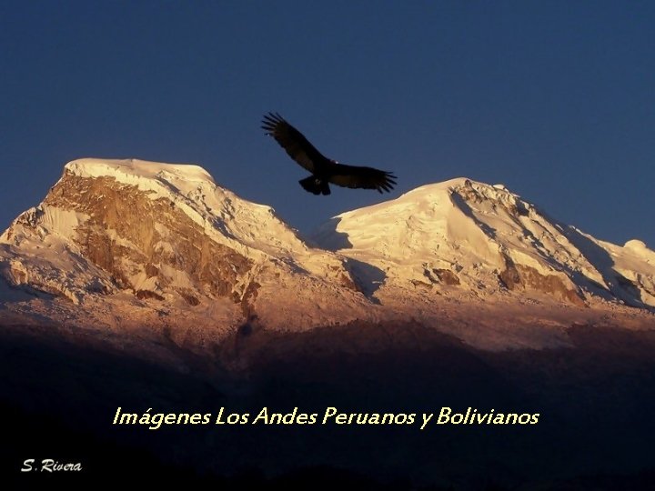 Imágenes Los Andes Peruanos y Bolivianos 