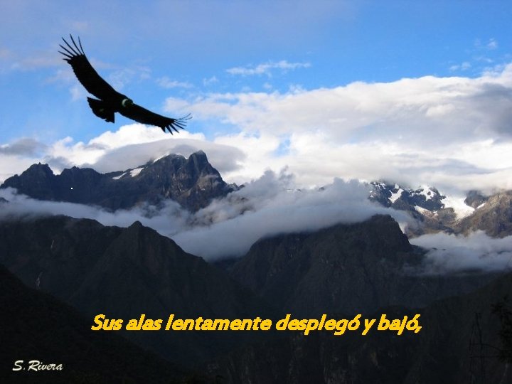 . Sus alas lentamente desplegó y bajó, 