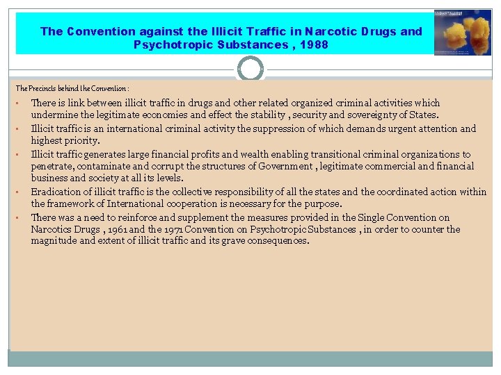 The Convention against the Illicit Traffic in Narcotic Drugs and Psychotropic Substances , 1988