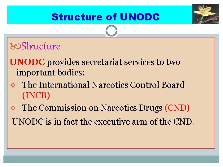 Structure of UNODC Structure UNODC provides secretariat services to two important bodies: v The
