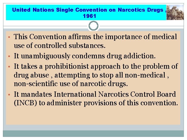 United Nations Single Convention on Narcotics Drugs , 1961 • This Convention affirms the