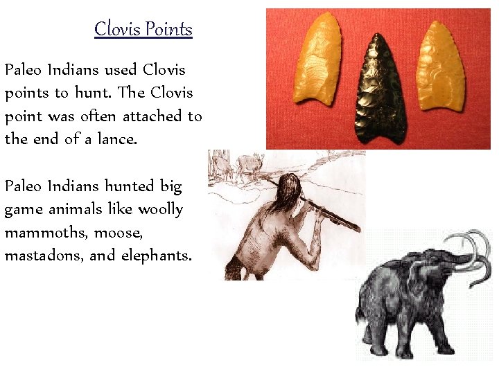Clovis Points Paleo Indians used Clovis points to hunt. The Clovis point was often