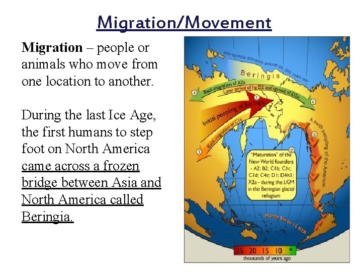 Migration/Movement Migration – people or animals who move from one location to another. During