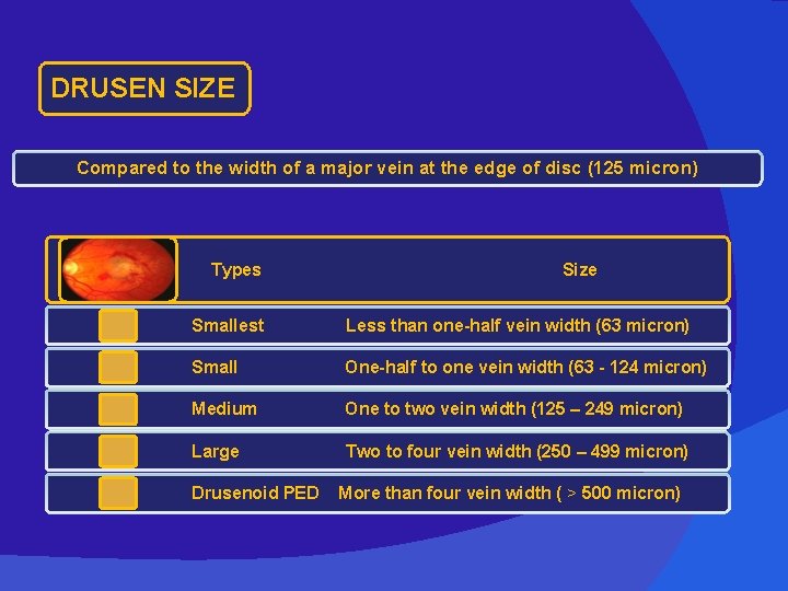 DRUSEN SIZE Compared to the width of a major vein at the edge of