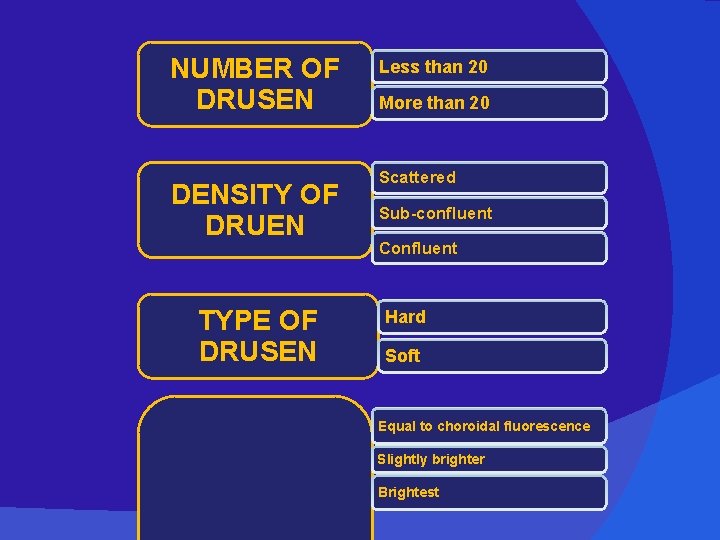 NUMBER OF DRUSEN DENSITY OF DRUEN TYPE OF DRUSEN Less than 20 More than