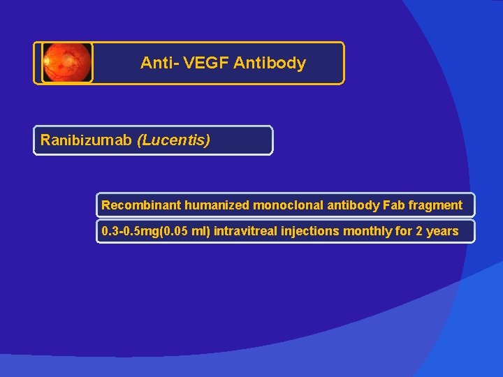 Anti- VEGF Antibody Ranibizumab (Lucentis) Recombinant humanized monoclonal antibody Fab fragment 0. 3 -0.