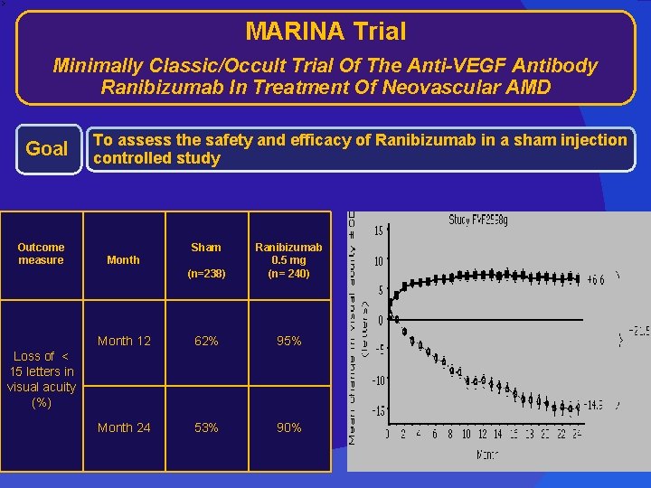 MARINA Trial Minimally Classic/Occult Trial Of The Anti-VEGF Antibody Ranibizumab In Treatment Of Neovascular