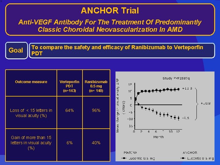 ANCHOR Trial Anti-VEGF Antibody For The Treatment Of Predominantly Classic Choroidal Neovascularization In AMD