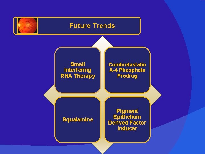 Future Trends Small Interfering RNA Therapy Combretastatin A-4 Phosphate Prodrug Squalamine Pigment Epithelium Derived