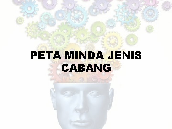 PETA MINDA JENIS CABANG 