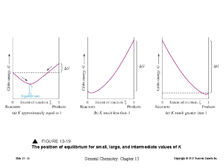 FIGURE 13 -19 The position of equilibrium for small, large, and intermediate values of