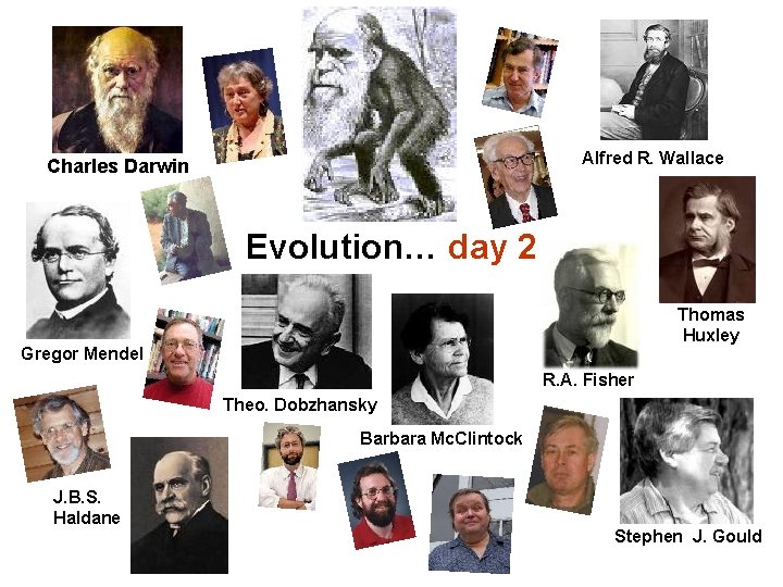 Alfred R. Wallace Charles Darwin Evolution… day 2 Thomas Huxley Gregor Mendel R. A.