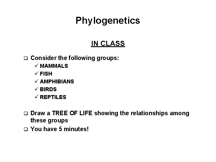 Phylogenetics IN CLASS q Consider the following groups: ü MAMMALS ü FISH ü AMPHIBIANS