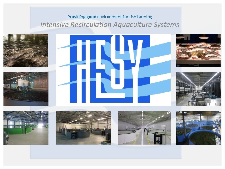 Providing good environment for fish farming Intensive Recirculation Aquaculture Systems 