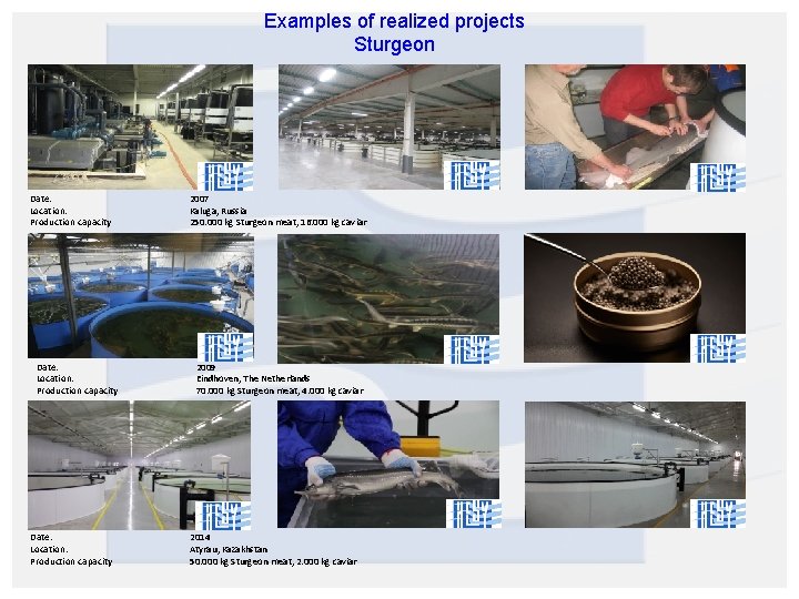 Examples of realized projects Sturgeon Date: Location: Production capacity 2007 Kaluga, Russia 250. 000