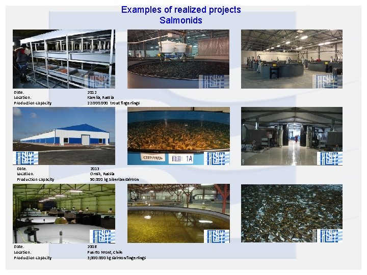 Examples of realized projects Salmonids Date: Location: Production capacity 2012 Karelia, Russia 22. 000