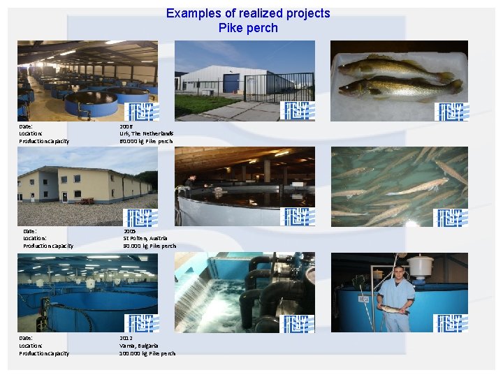 Examples of realized projects Pike perch Date: Location: Production capacity 2006 Urk, The Netherlands