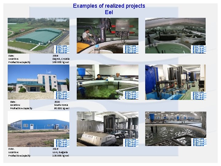 Examples of realized projects Eel Date: Location: Production capacity 2004 Zagreb, Croatia 100. 000