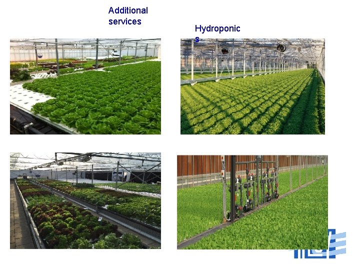 Additional services Hydroponic s 