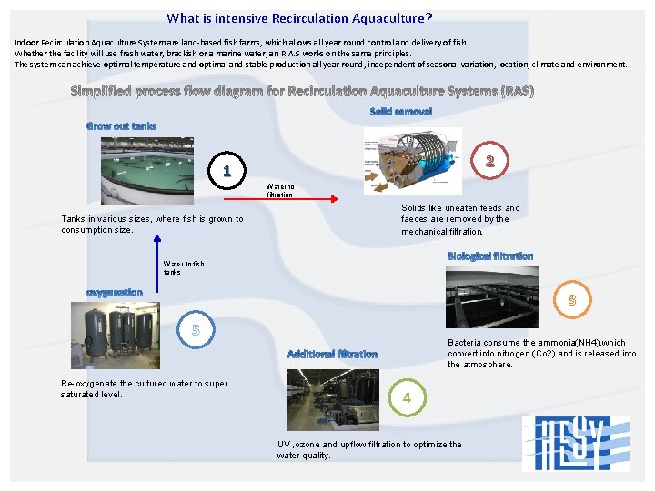  What is intensive Recirculation Aquaculture? Indoor Recirculation Aquaculture System are land-based fish farms,