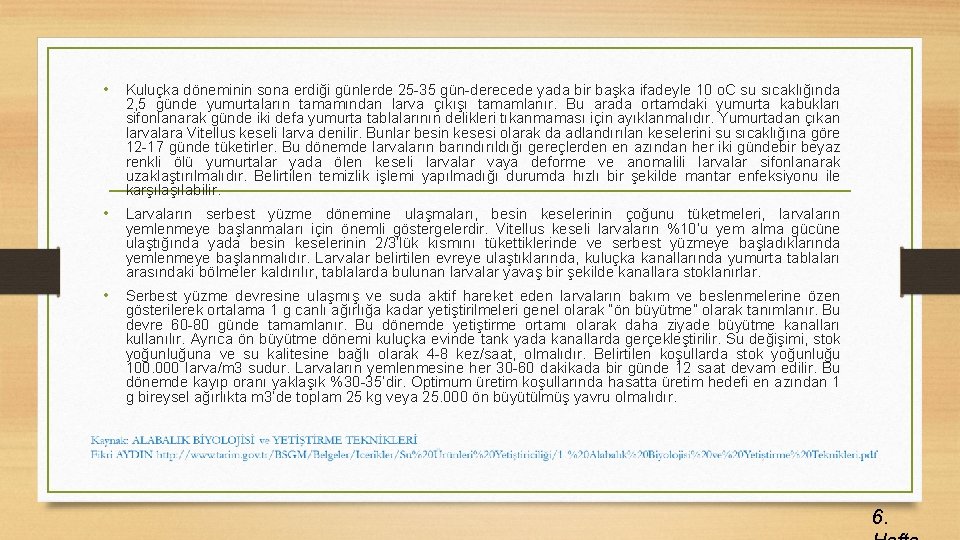  • Kuluçka döneminin sona erdiği günlerde 25 -35 gün-derecede yada bir başka ifadeyle