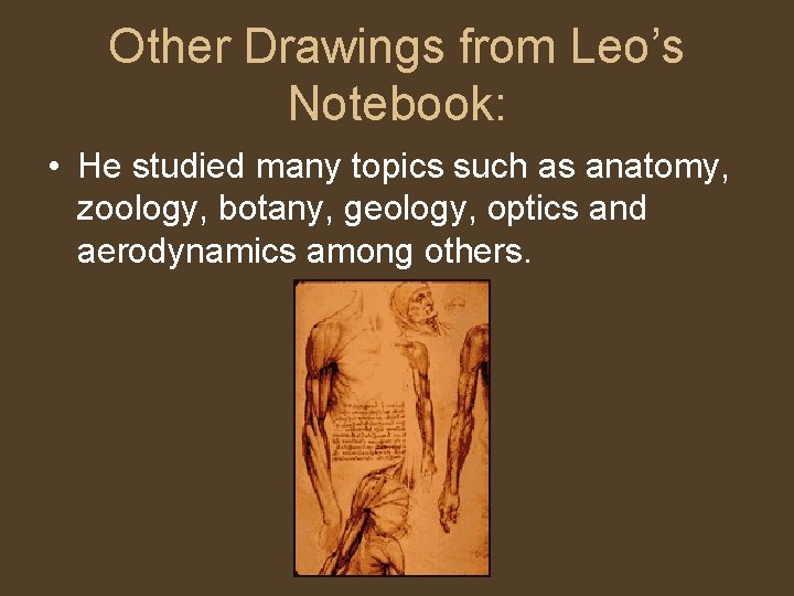 Other Drawings from Leo’s Notebook: • He studied many topics such as anatomy, zoology,