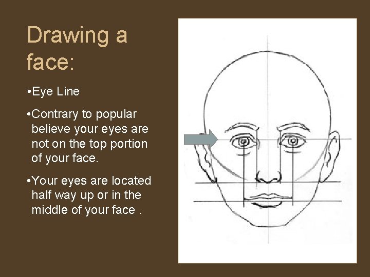 Drawing a face: • Eye Line • Contrary to popular believe your eyes are