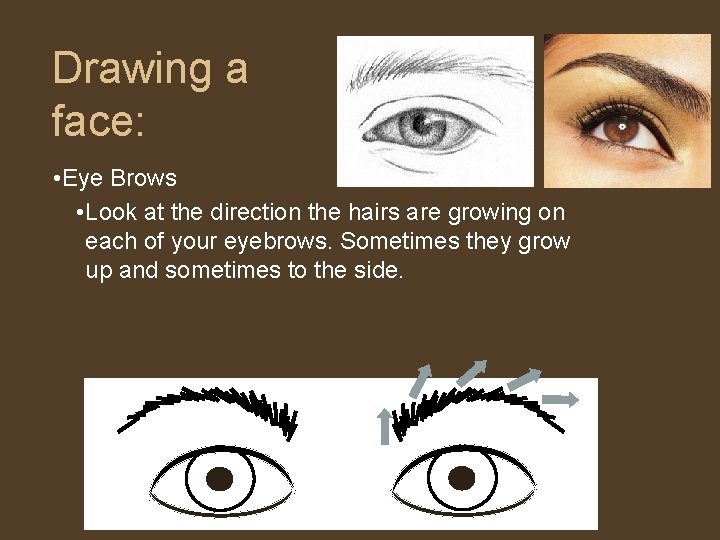Drawing a face: • Eye Brows • Look at the direction the hairs are