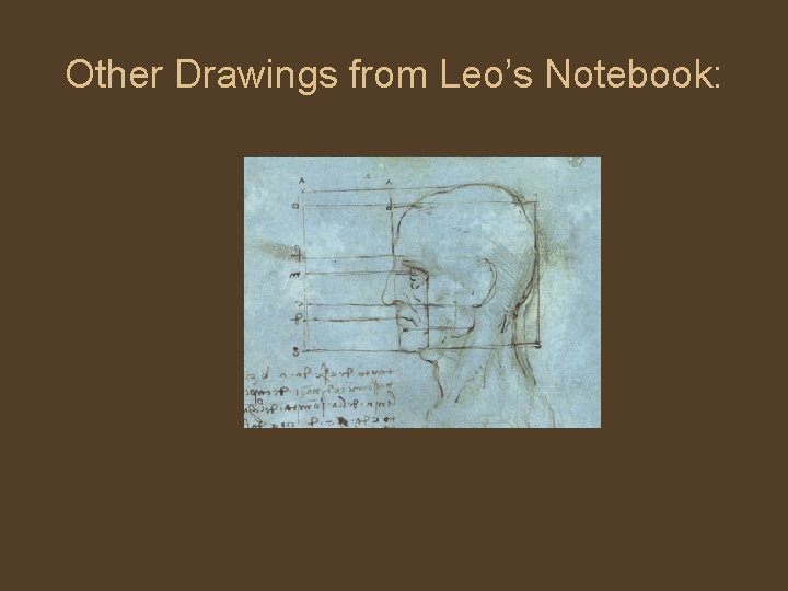 Other Drawings from Leo’s Notebook: 