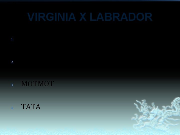 VIRGINIA X LABRADOR 1. TOTO 2. TOMTOM 3. MOTMOT 4. TATA VIRGINIA X LABRADOR 1. TOTO 2. TOMTOM 3. MOTMOT 4. TATA