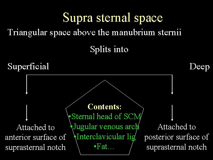 Supra sternal space Triangular space above the manubrium sternii Splits into Superficial Deep Contents: